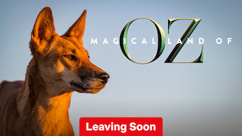 Magical Land of Oz (2019)